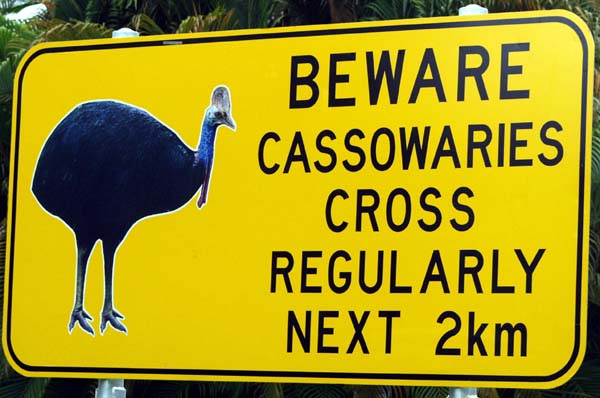 cassowary_crossing_sign.jpg