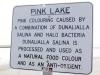 Pink lake interpretive sign