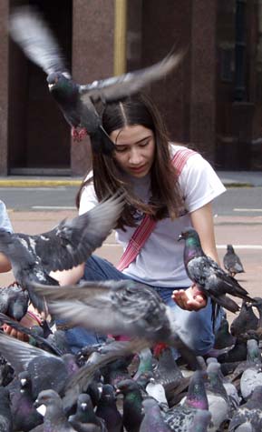 Girl feeding pigeons