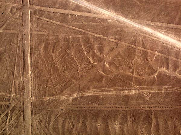 Nazca drawings