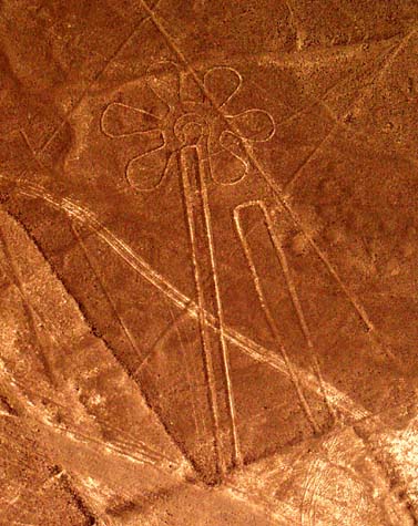 Nazca shapes and flower