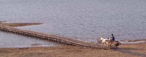 Tiny horse and cart, long bridge