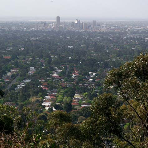 Adelaide from above