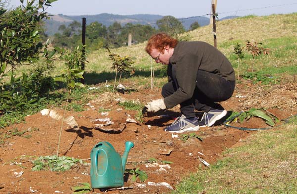 Andy planting trees