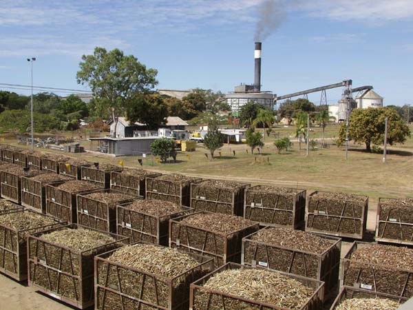 Ayr sugar cane processing plant