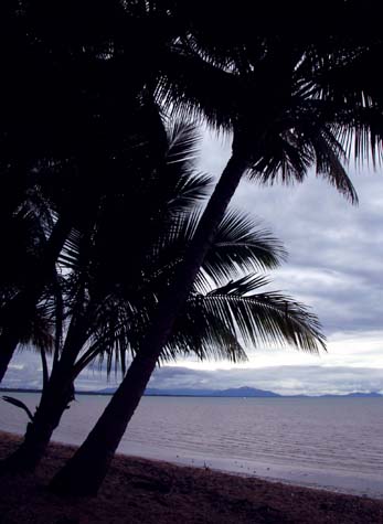 Cardwell Beach