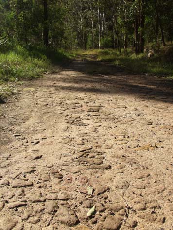 Convict trail