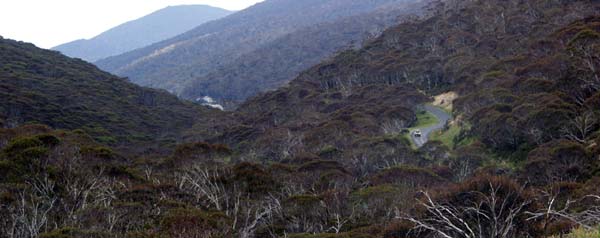 Dead horse gap to Thredbo