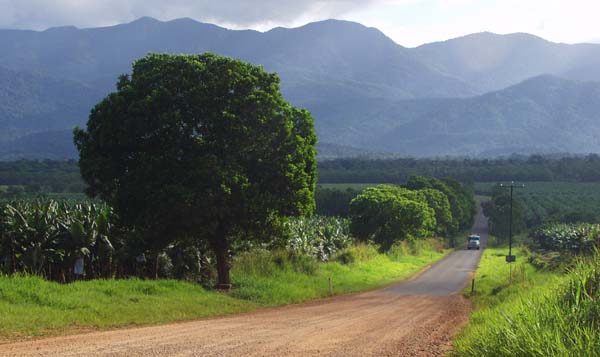 Dingo Pocket road, Tully