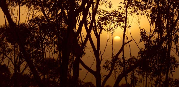 Duststorm in Mt Victoria