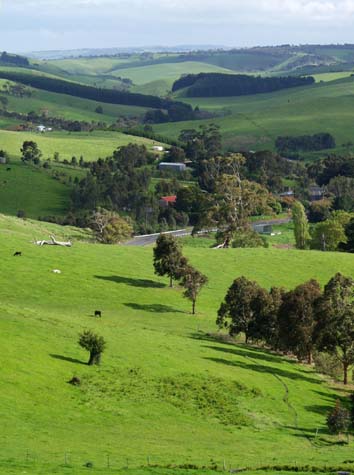 Hills of Adelaide