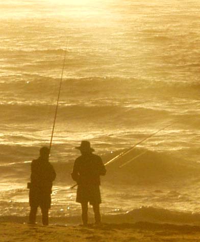 Old friends, 7 Mile Beach