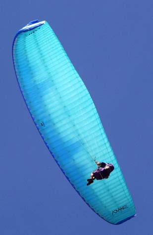 Paraglider over Rex's lookout