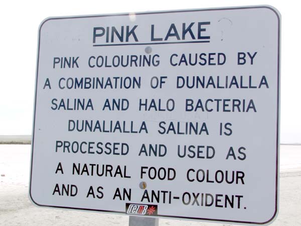 Pink lake interpretive sign