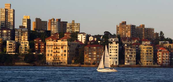 Sailing Sydney