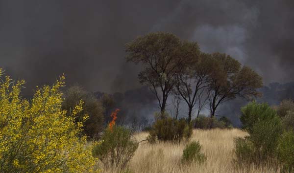 The sky filled with black smoke