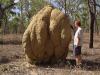 Andy studying ant mound