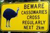 Cassowary crossing sign