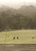 Roos on Dunkeld golf course