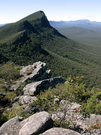 Top of Mt Abrupt