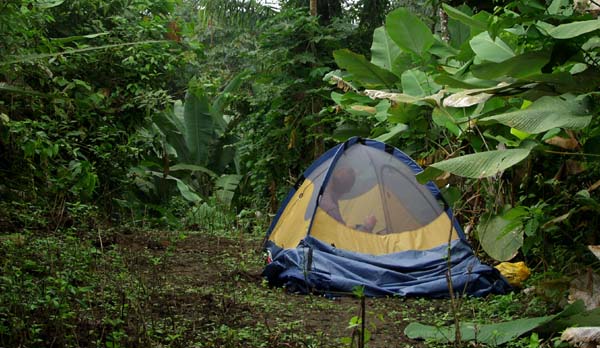 Camping spot at end of equator confluence attempt