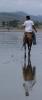 Horserider on Pedernales beach