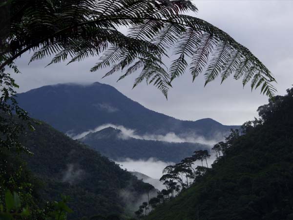 Valley to Zamora - rim of the Amazon