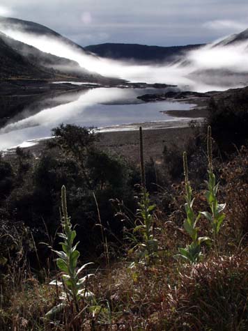 Cobb reservoir