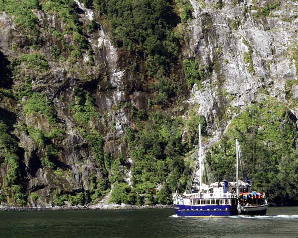 Cruiseliner in Milford Sound