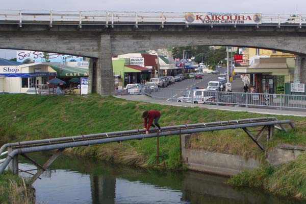 Earning  in Kaikoura