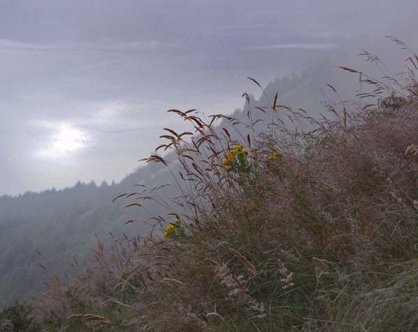 Fog of Nelson Lake