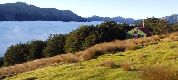 Hut near Bushline Hut