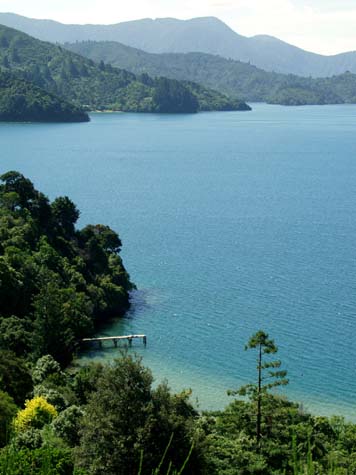 Marlborough Sounds