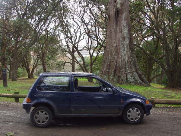 My little Honda City