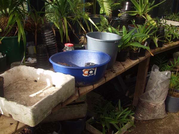 Potting table