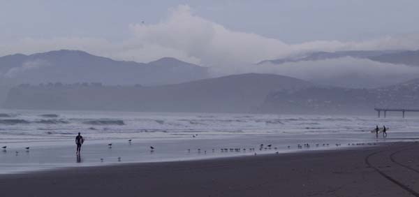 Surfer and Bank's Peninsula