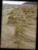 Ruggedy sand dune