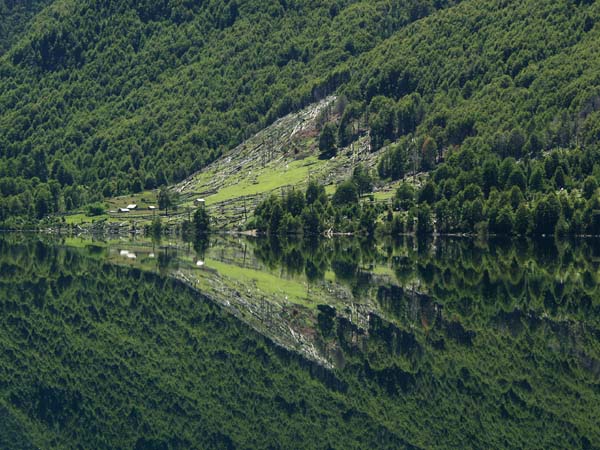 Arrow of deforestation