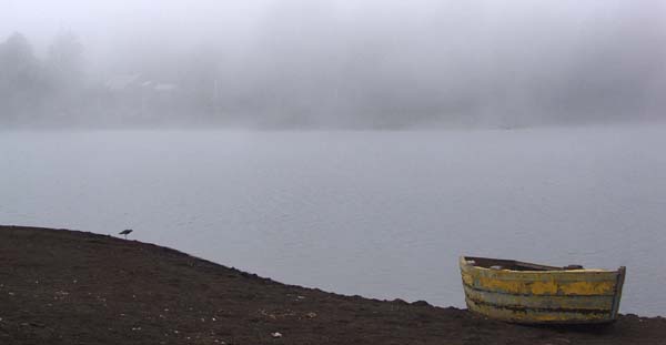 Foggy Laguna Los Quetros