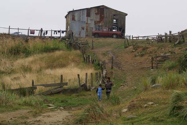 Metal house on a hill