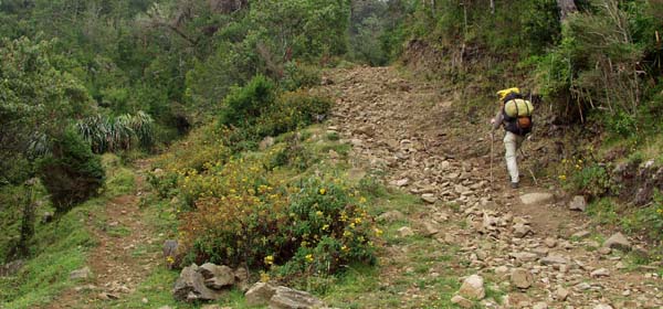 Path up from Pilolcura