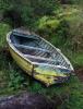 Old boat in the flowers