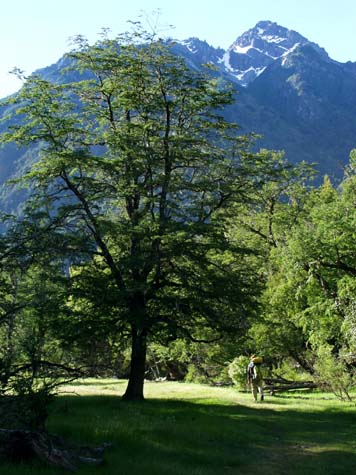 Walking the Manso Valley