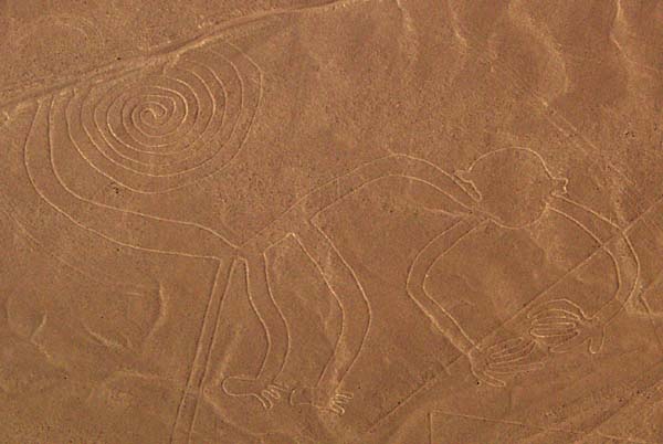 Nazca monkey