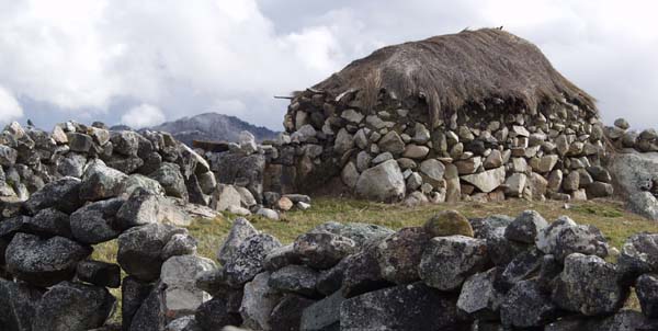 Photograph of a typical thatched roof stone house in the peruvian altiplano around Coasa, Peru