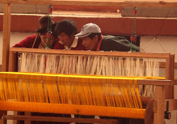 Weavers starting a new weaving