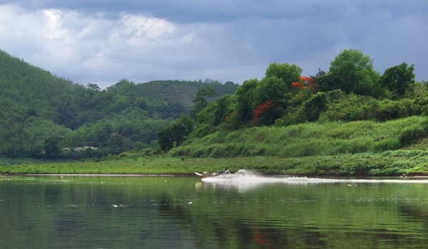 Boat passing red marker trees