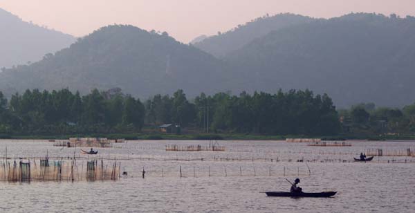 Checking the nets