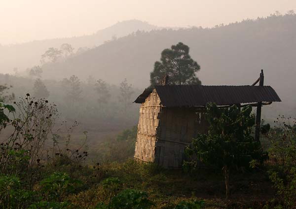 Farm field sun shelter