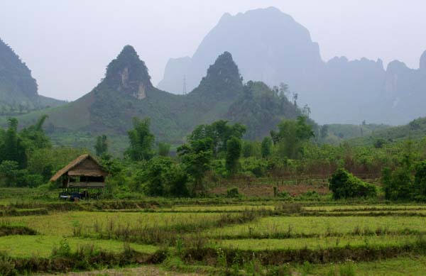 Farm near troubled Kasi